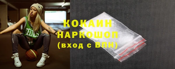 индика Заволжск