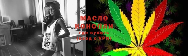 индика Заволжск