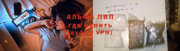 молекула духа Заволжье