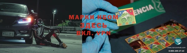 индика Заволжск