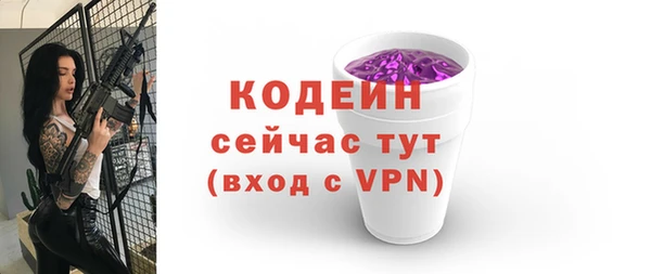 индика Заволжск