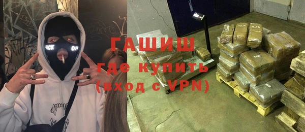 индика Заволжск