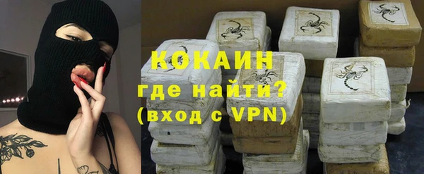 индика Заволжск