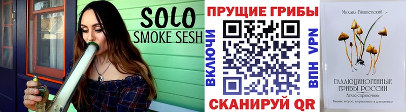 kraken как зайти  Змеиногорск  Галлюциногенные грибы Psilocybe 