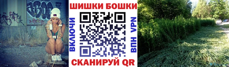 МАРИХУАНА план  где продают наркотики  Змеиногорск 
